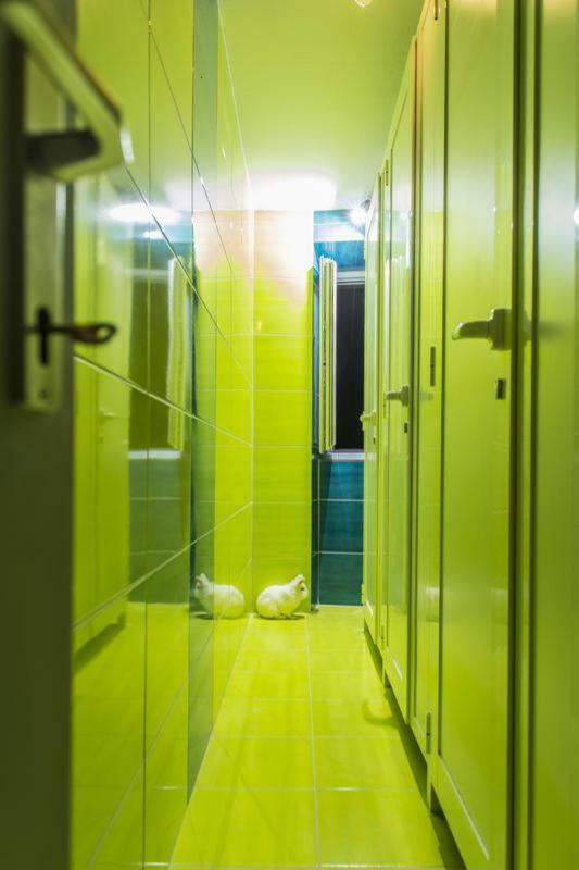 White Rabbit Hostel